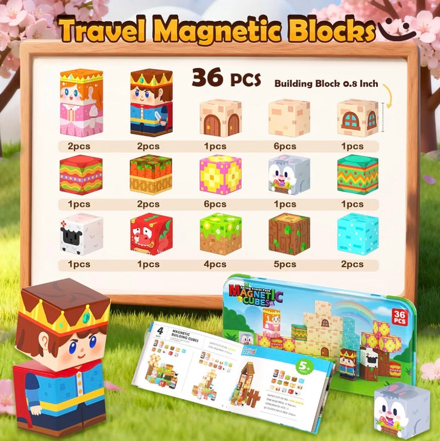 Mini Magnetic Blocks with Metal Case